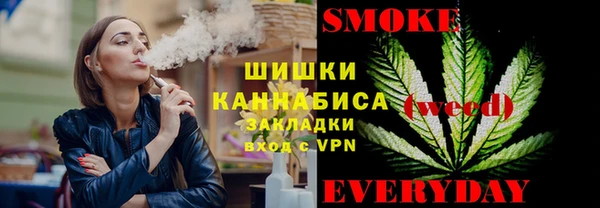 сатива Новокубанск