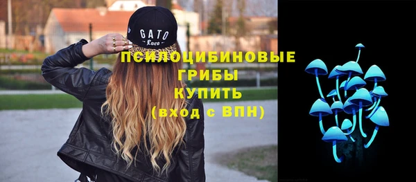 сатива Армянск