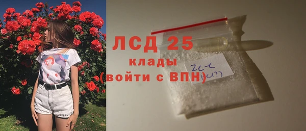 сатива Армянск
