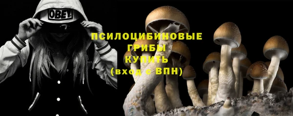 таблы Арсеньев