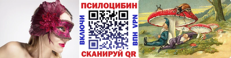 Псилоцибиновые грибы Psilocybine cubensis  Мамоново 
